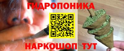 гашик Обь